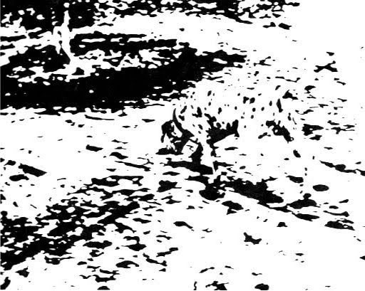 巧用視錯(cuò)覺 UI更有趣